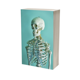 Rouviere - Anatomía humana - 11va Edición - Vol. III