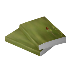 Alberts - Biologia Molecular de la Celula - 6ta Edición