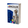 Rouviere - Anatomía humana - 11va Edición - Vol. III