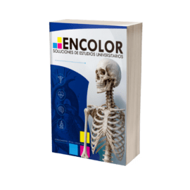 Mini-Netter Atlas de Anatomía Humana - 8va Edición