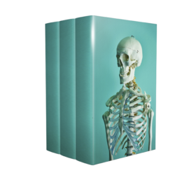 Rouviere – Anatomía humana : descriptiva, topográfica y funcional – 10ma Edición