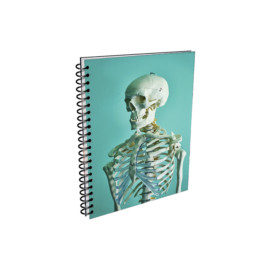 Netter - Flashcards de Anatomia Humana - 4ta Edición - Anillado