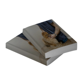 Animales Domesticos - Anatomia - Segunda