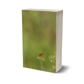 Edulp - Sistemática de Embryophyta