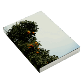 Cepero - Libro de Biologia De Hongos - 1ra Edición