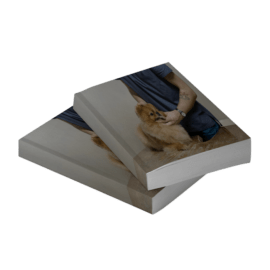 Animales Domesticos - Anatomia - Segunda - Tomo 1