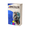 Netter - Neurociencia Para Colorear - 3ra Edición
